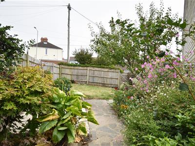 Picture 15